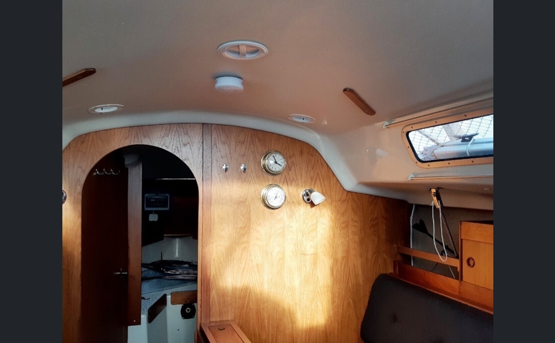 Albin Cumulus-kuva-7